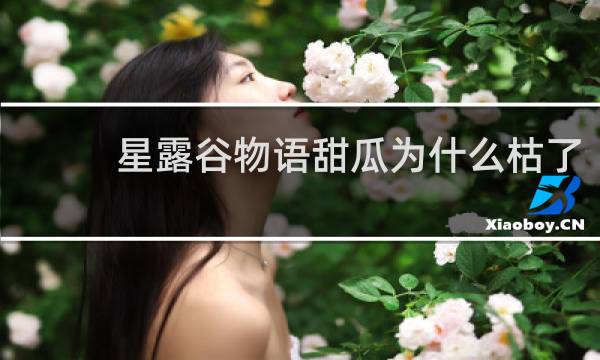 星露谷物语甜瓜为什么枯了