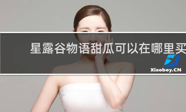 星露谷物语甜瓜可以在哪里买