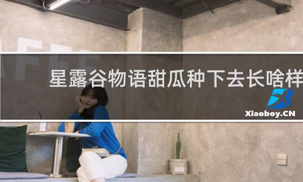 星露谷物语甜瓜种下去长啥样