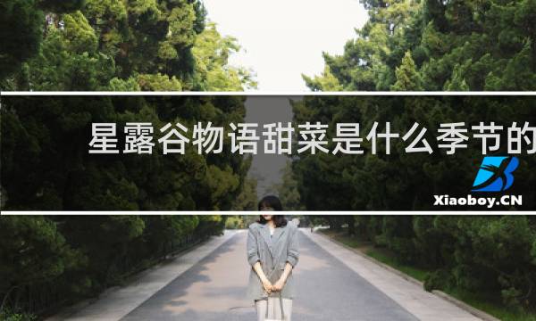 星露谷物语甜菜是什么季节的