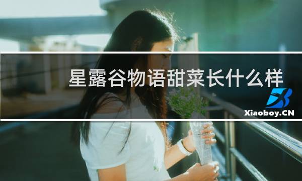 星露谷物语甜菜长什么样