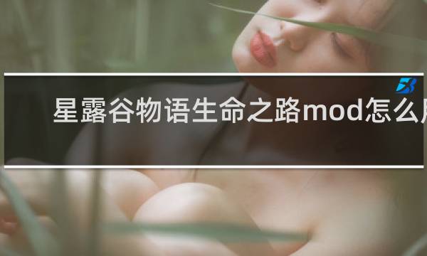 星露谷物语生命之路mod怎么用