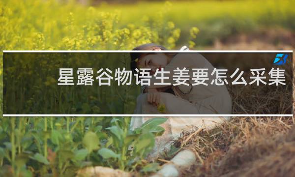 星露谷物语生姜要怎么采集
