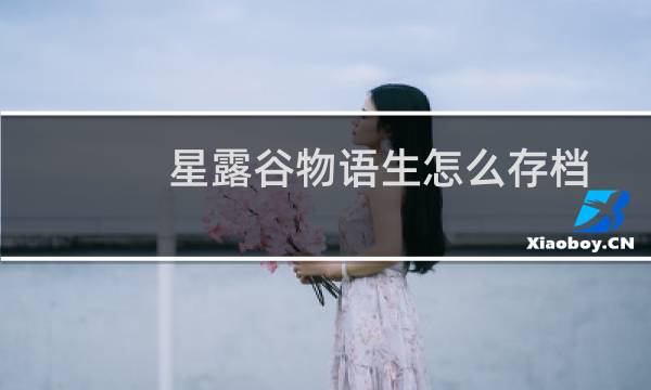 星露谷物语生怎么存档