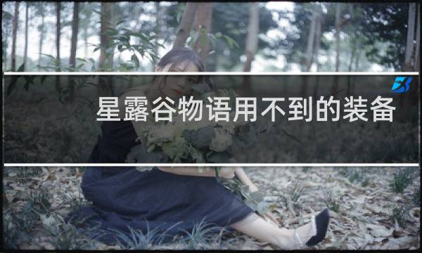 星露谷物语用不到的装备