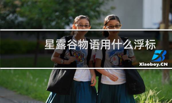 星露谷物语用什么浮标