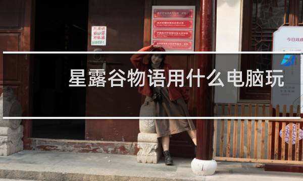 星露谷物语用什么电脑玩