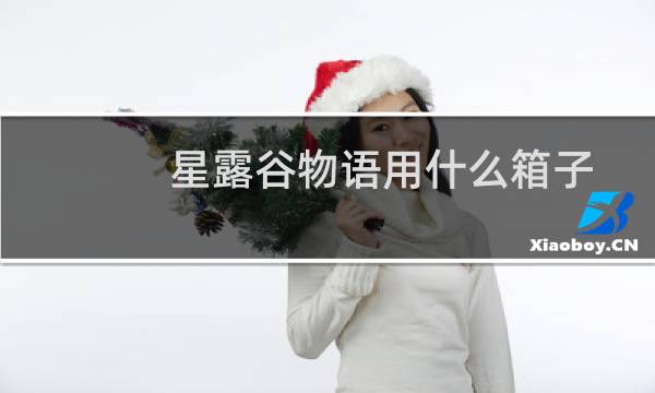 星露谷物语用什么箱子