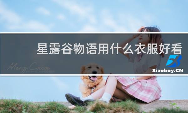 星露谷物语用什么衣服好看