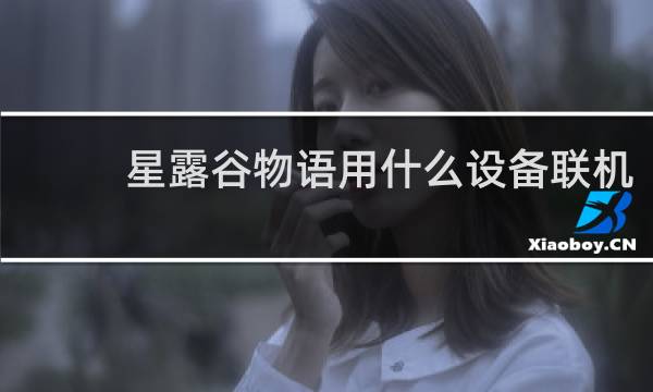 星露谷物语用什么设备联机