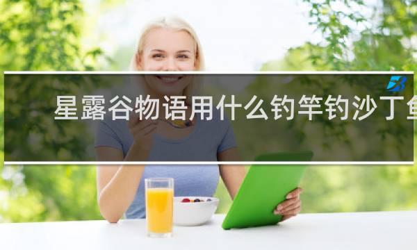 星露谷物语用什么钓竿钓沙丁鱼