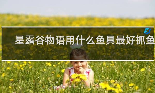 星露谷物语用什么鱼具最好抓鱼王