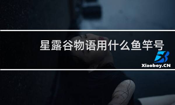 星露谷物语用什么鱼竿号