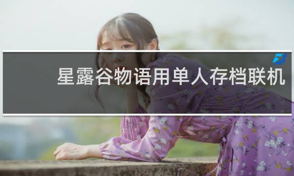 星露谷物语用单人存档联机