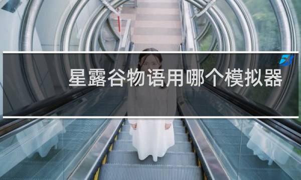 星露谷物语用哪个模拟器