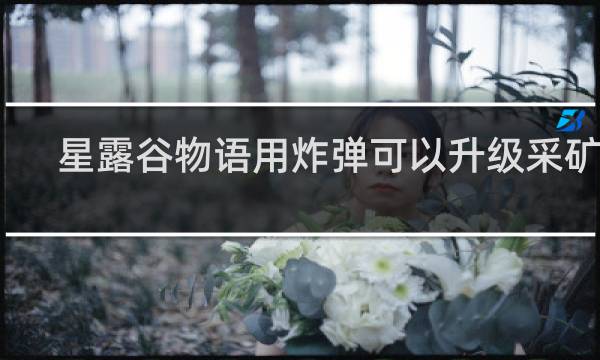 星露谷物语用炸弹可以升级采矿吗