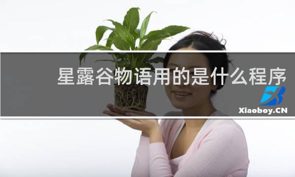 星露谷物语用的是什么程序