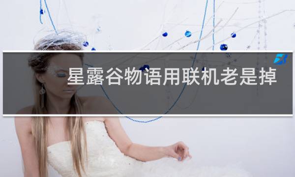 星露谷物语用联机老是掉