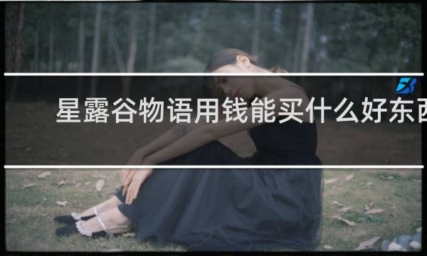 星露谷物语用钱能买什么好东西