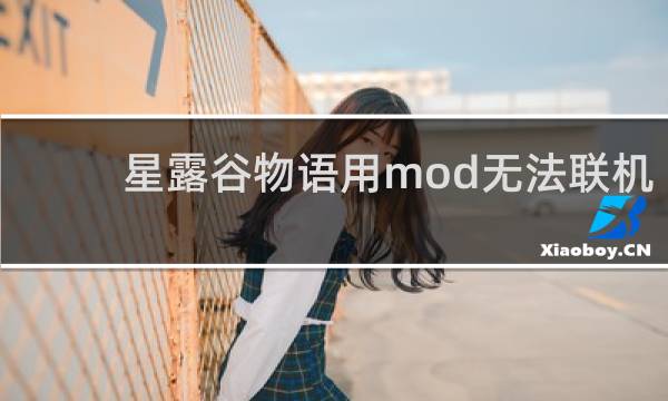 星露谷物语用mod无法联机