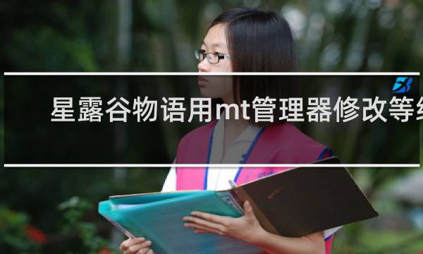 星露谷物语用mt管理器修改等级