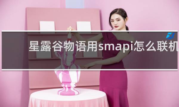 星露谷物语用smapi怎么联机