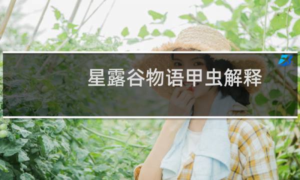 星露谷物语甲虫解释