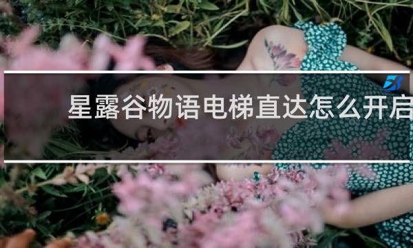 星露谷物语电梯直达怎么开启