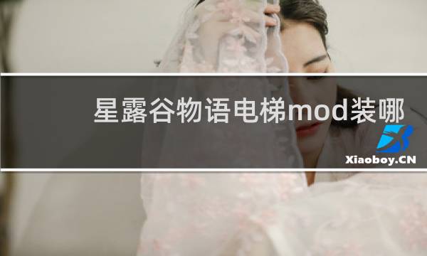 星露谷物语电梯mod装哪