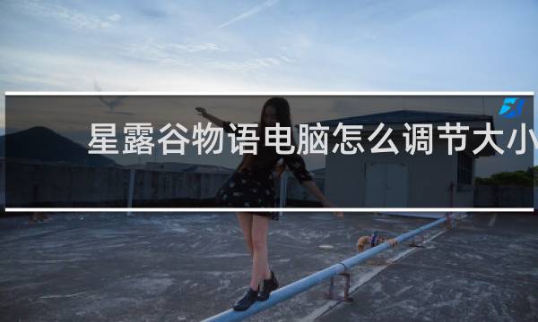 星露谷物语电脑怎么调节大小