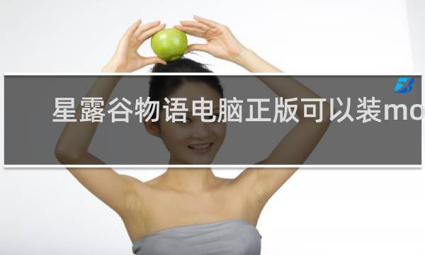 星露谷物语电脑正版可以装mod