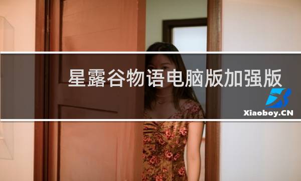 星露谷物语电脑版加强版