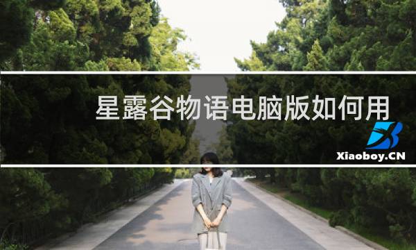 星露谷物语电脑版如何用