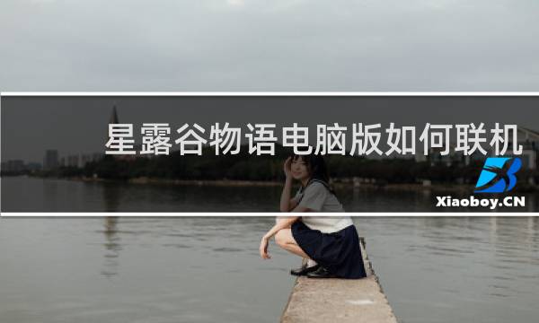 星露谷物语电脑版如何联机