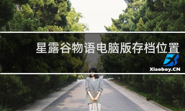 星露谷物语电脑版存档位置