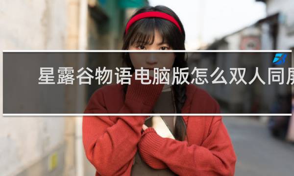 星露谷物语电脑版怎么双人同屏
