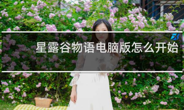 星露谷物语电脑版怎么开始
