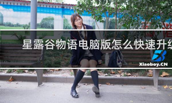 星露谷物语电脑版怎么快速升级