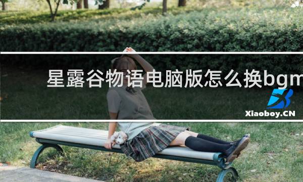 星露谷物语电脑版怎么换bgm