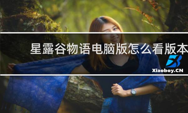 星露谷物语电脑版怎么看版本
