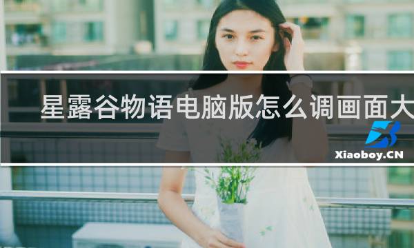 星露谷物语电脑版怎么调画面大小