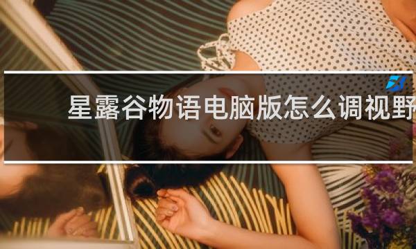星露谷物语电脑版怎么调视野