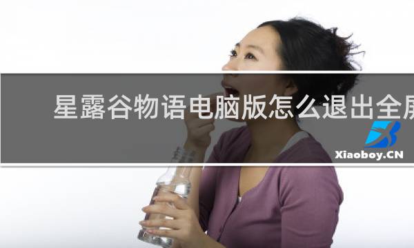 星露谷物语电脑版怎么退出全屏