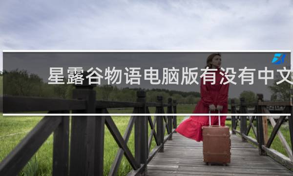 星露谷物语电脑版有没有中文