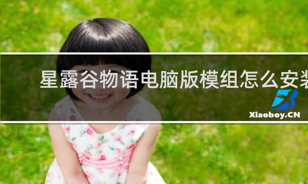 星露谷物语电脑版模组怎么安装