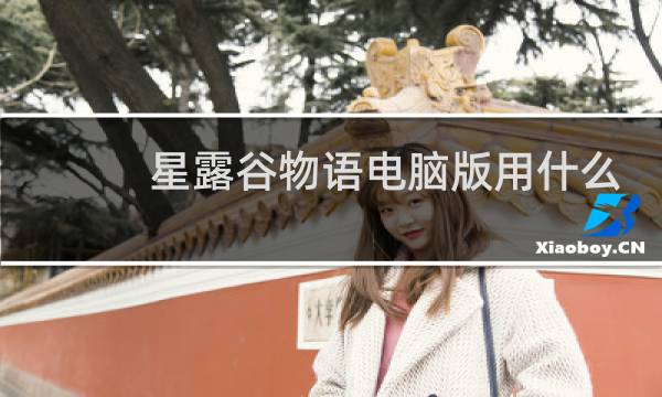 星露谷物语电脑版用什么