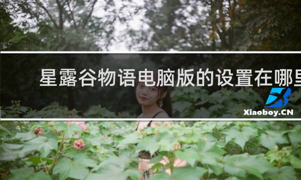 星露谷物语电脑版的设置在哪里