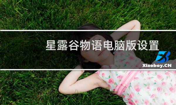 星露谷物语电脑版设置