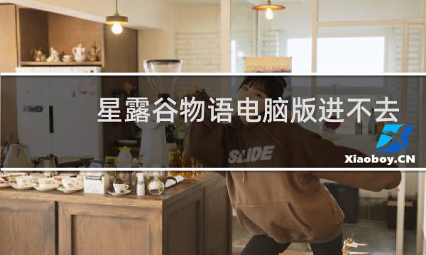 星露谷物语电脑版进不去