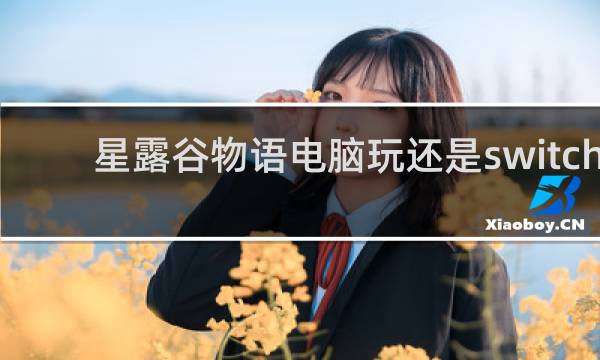星露谷物语电脑玩还是switch 玩